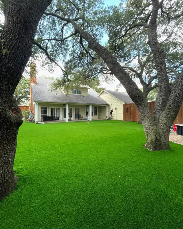 Artificial Turf Backyard Live Oak Home Garland Tx V2