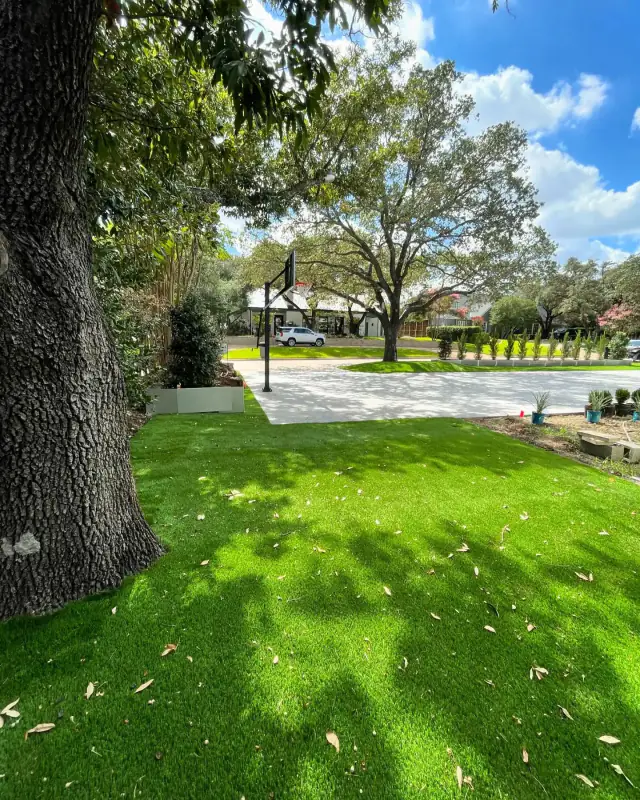 Artificial Turf Front Lawn Shade Tree Tx V3